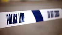 Harlesden shooting death
