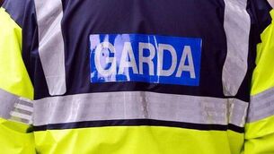 <p>Gardaí have appealed for witnesses to a serious assault in Laois which has seen a man in his 60s hospitalised for serious injuries.</p>