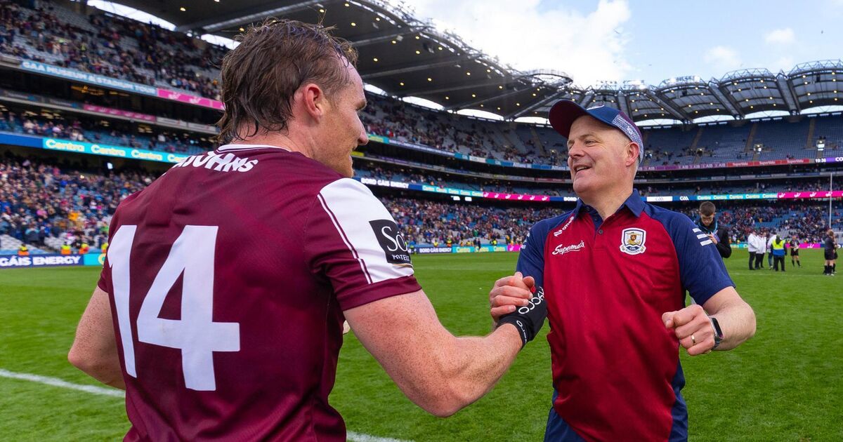 Galway boss Donoghue queries black card penalty call in Leinster final win
