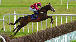 <p>FLYING START: Workahead en route to a smooth chasing debut  win at Wexford last month. 	Picture: Healy Racing</p>