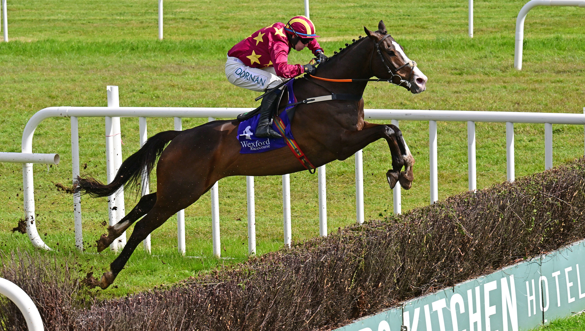 Roscommon preview: Workahead can make it two from two over fences 
