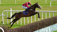 Roscommon preview: Workahead can make it two from two over fences 