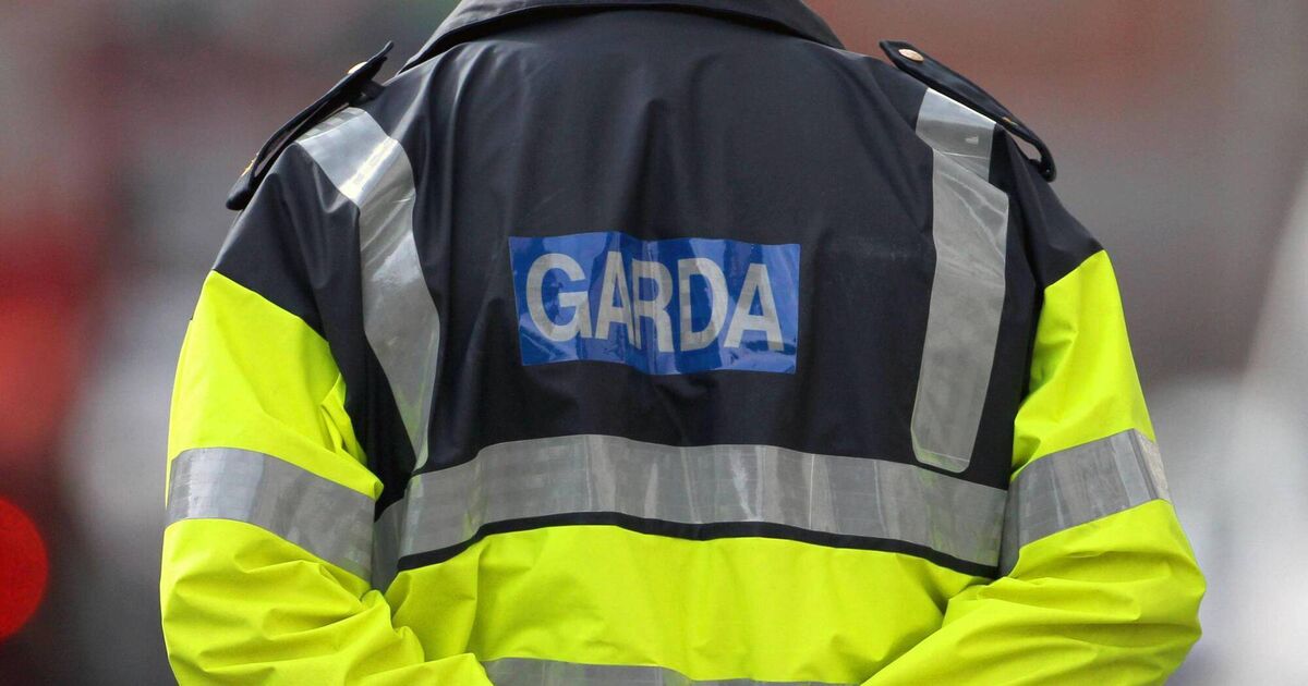 Gardaí concerned members flouting domestic violence order self-report policy