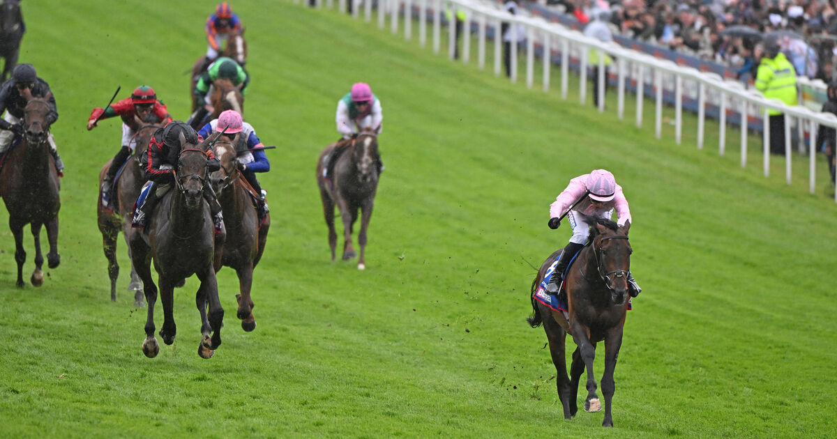 Christmas Day backers left short-changed by Derby’s non-runner ruling