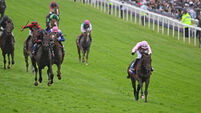 Christmas Day backers left short-changed by Derby’s non-runner ruling