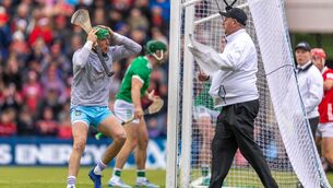 <p>MAN OF THE MATCH: Limerick goalkeeper Nickie Quaid was the man of the match against Cork. Pic: ©INPHO/Morgan Treacy.</p> <p>MAN OF THE MATCH: Limerick goalkeeper Nickie Quaid was the man of the match against Cork. Pic: ©INPHO/Morgan Treacy.</p>