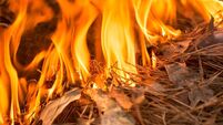 Brush Fire