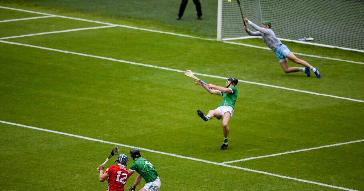 Anthony Daly: Limerick have planted a flag. Have they sowed a seed of doubt?