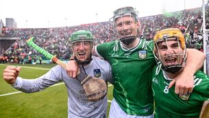 <p>LOOKING AFTER NO 1: Limerick players, left to right, Nickie Quaid, William O'Donoghue, and Adam English. Pic: Daire Brennan/Sportsfile</p>
