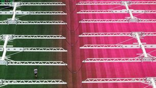<p>Barbicore meets the World Cup: Pink lights illuminate newly laid grass on the pitch at AT&amp;T Stadium, which will be called "Dallas Stadium" during the duration of the tournament. The 94,000-capacity venue in Arlington, Texas is the home of the Dallas Cowboys NFL team, and will host more matches than any other venue during the World Cup. Pic: Mark Felix, Getty Images</p>