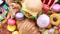 Full frame image of sweet and savoury junk foods, chicken burger, battered onion rings, pizza slices, glazed ring doughnuts, mac