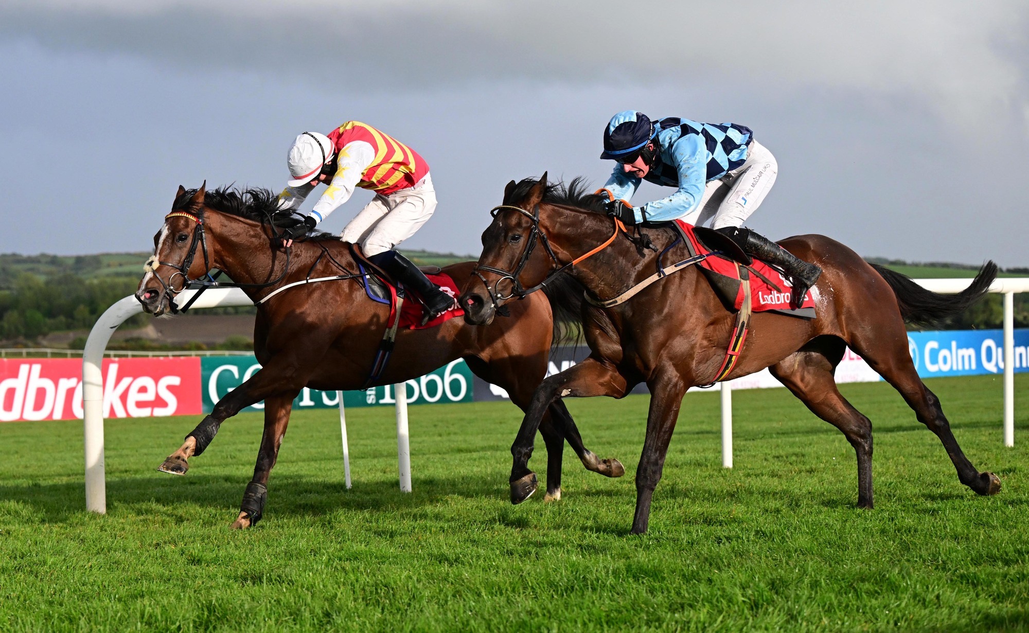 Private Policy primed to build on recent success at Sligo