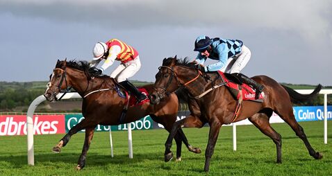 Private Policy primed to build on recent success at Sligo
