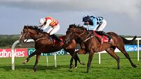 Private Policy primed to build on recent success at Sligo