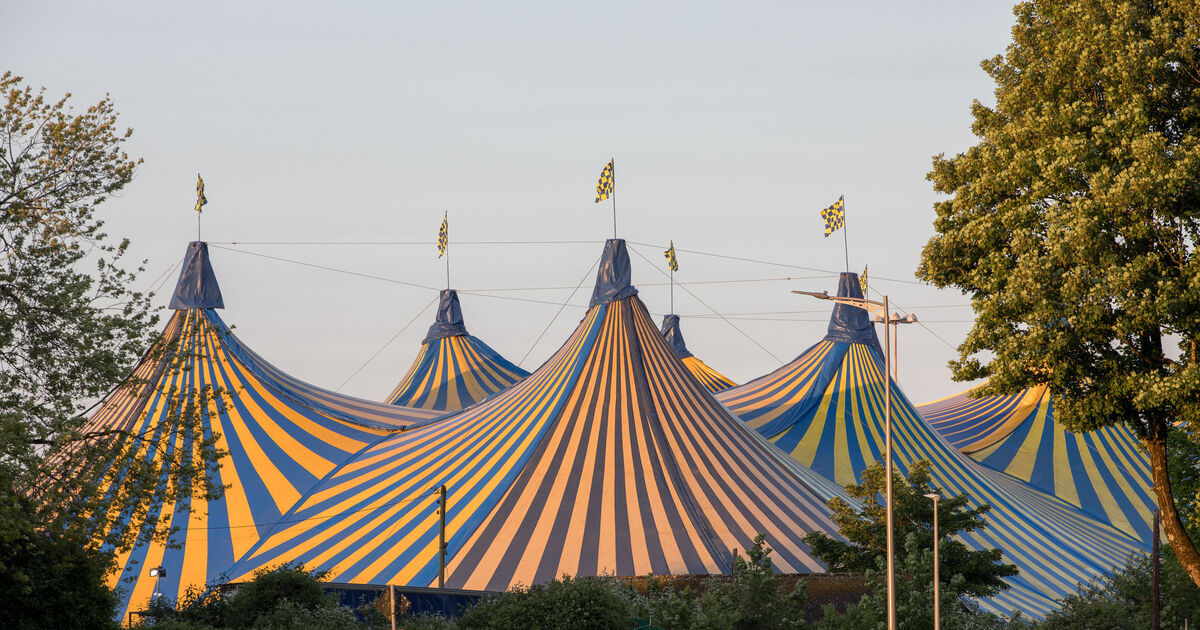 Live at the Marquee 2026, Cork, FAQ: Directions, stage times, parking, cash-only, etc