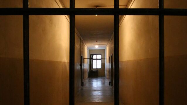 <p>Jim Harmon will serve the original sentence of six years and eight months. File photo</p>