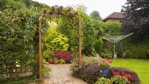 <p>Climbing plants are perfect for a pergola but all climbing plants will benefit from being cut back annually, writes Peter Dowdall. File picture</p>