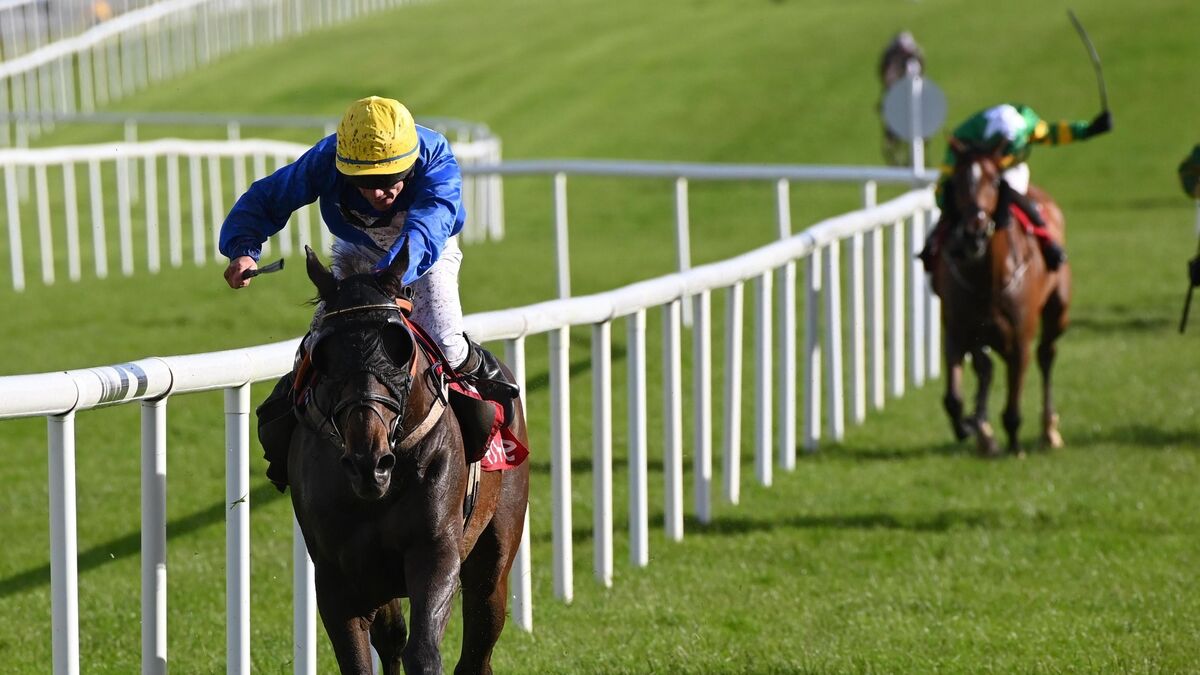 Eric McNamara lands 230/1 Roscommon double as Hermino Aa wins Connacht National