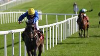 Nasafar holds the whip hand in maiden