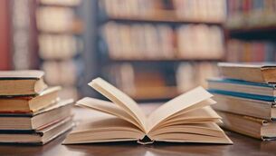 <p>The Department of Education will tell TDs its 2026 budget is €14.1bn, broken down with €12.4bn in current expenditure and €1.7bn in capital expenditure. Picture: iStock</p> <p>The Department of Education will tell TDs its 2026 budget is €14.1bn, broken down with €12.4bn in current expenditure and €1.7bn in capital expenditure. Picture: iStock</p>
