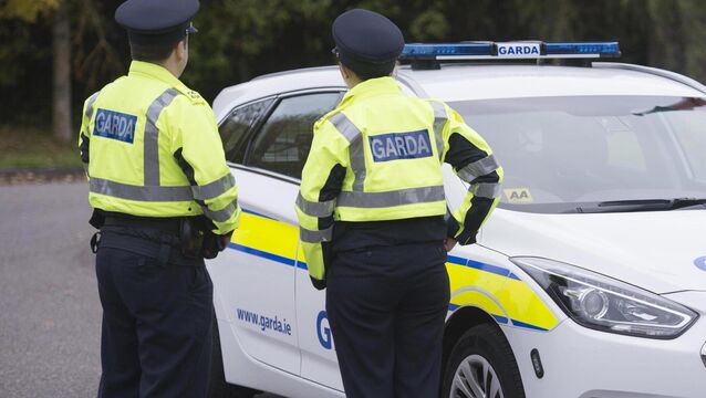 <p>Gardaí are appealing to anyone who may have witnessed the collision to come forward. Picture: Dan Linehan.</p>