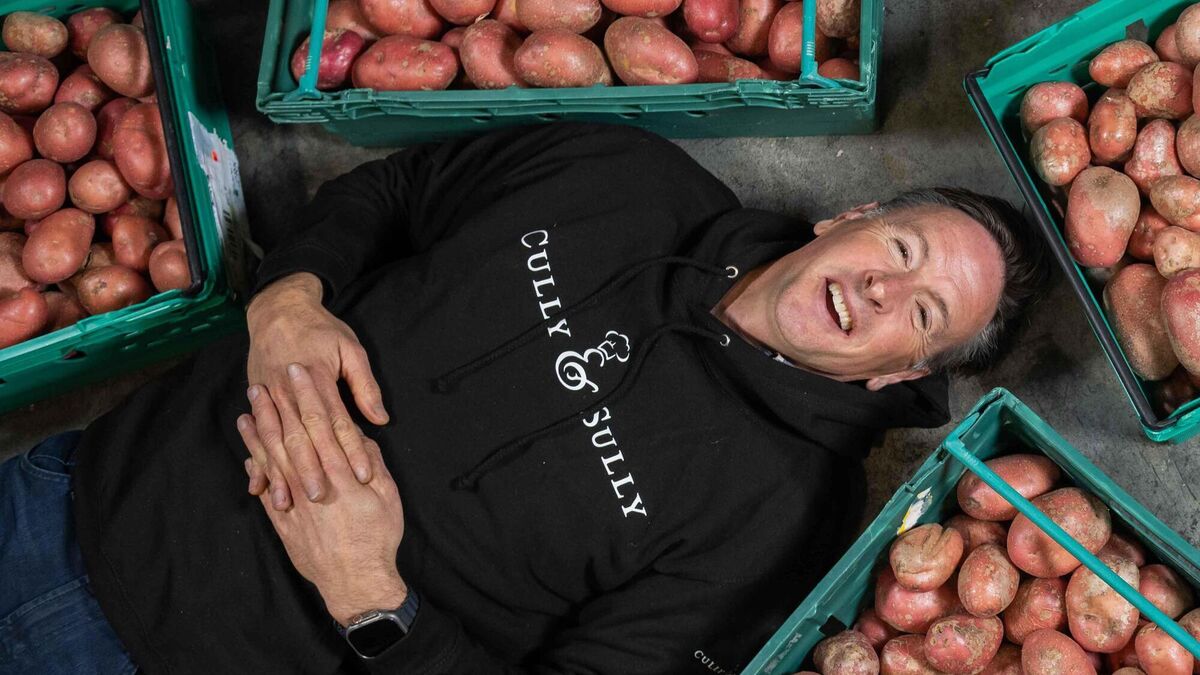 Cully & Sully parent company sees turnover hit €37m