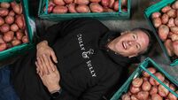 Cully & Sully parent company sees turnover hit €37m