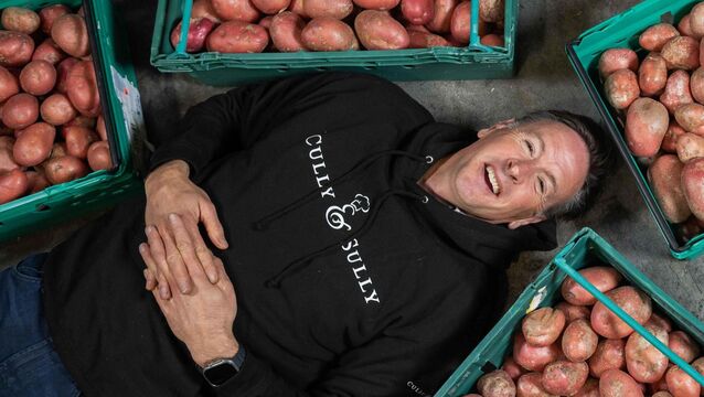 <p>Colm O’Sullivan at the FoodCloud Cork Hub where Cully &amp; Sully partnered with FoodCloud to provide the equivalent of 250,000 meals across Ireland. Hain Celestial, the company behind the Cully &amp; Sully soup range has seen turnover jump 32% to €37m. Picture: Joleen Cronin.</p>