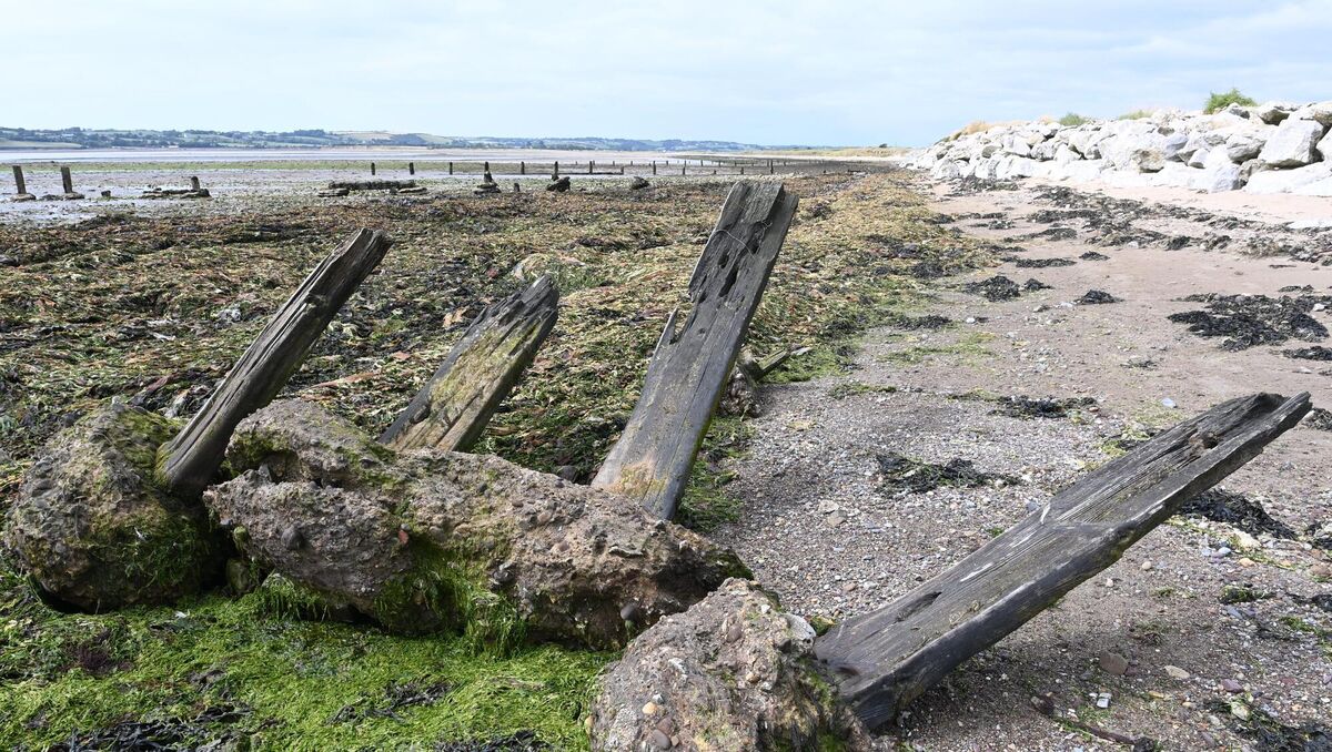Some of the wooden groynes that were once in position to prevent the movement of sand along the Cork shoreline. Coastal erosion has removed sections of the beach and dunes near Youghal leaving the access road open to high winter waves and flooding. Picture: Larry Cummins Some of the wooden groynes that were once in position to prevent the movement of sand along the Cork shoreline. Coastal erosion has removed sections of the beach and dunes near Youghal leaving the access road open to high winter waves and flooding. Picture: Larry Cummins
