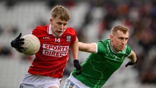 <p>BACK IN THE FRAME: Cork young gun Dara Sheedy. Pic: Brendan Moran/Sportsfile</p>