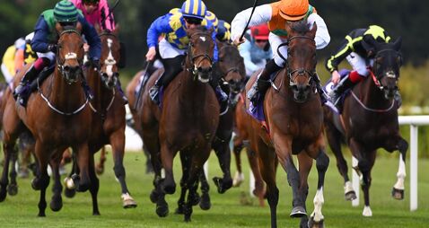 Monvoe can make swift return to winning ways at Limerick