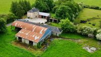 181-acre farm near Kilmallock seeking €2.5m at auction