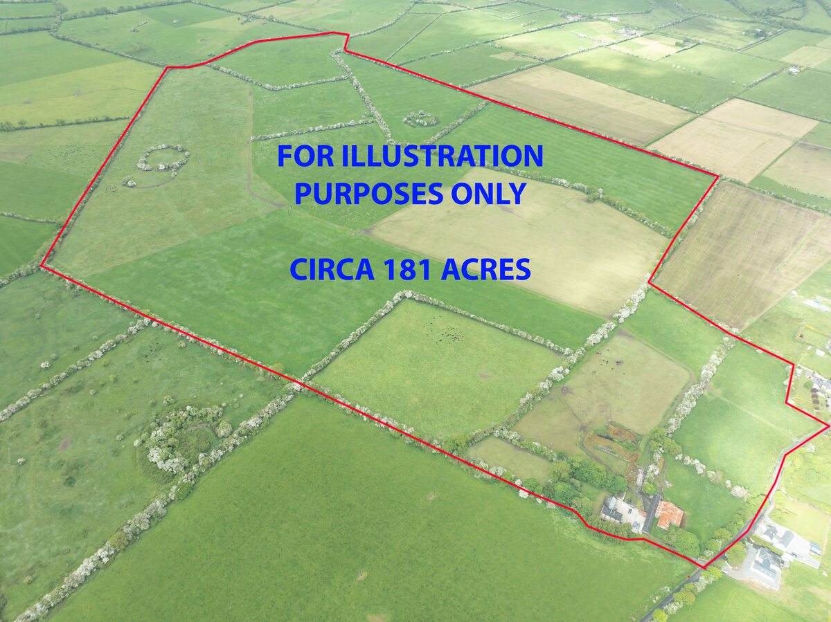 The 181-acre farm in the heart of the Golden Vale. The 181-acre farm in the heart of the Golden Vale.