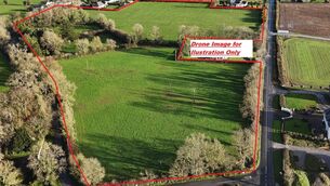 <p>A 17-acre holding at Newboro, Patrickswell is one of four farms being auctioned on July 1.</p> <p>A 17-acre holding at Newboro, Patrickswell is one of four farms being auctioned on July 1.</p>
