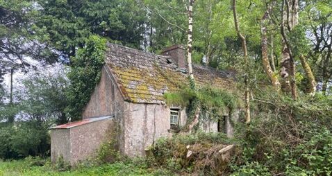 North Kerry holding in Special Area of Conservation gathering interest with guide of €4-€5k/acre