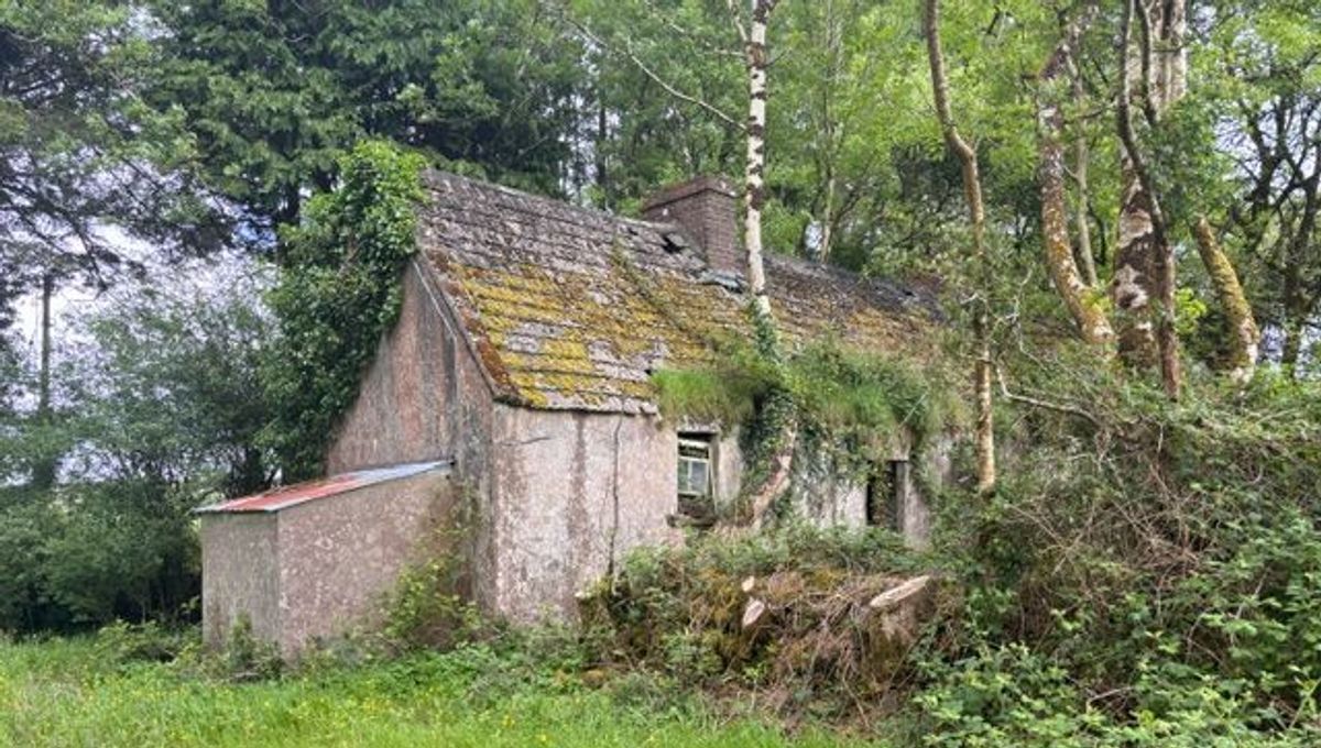 The derelict house at Dromadda More, Listowel, has panoramic views of the surrounding countryside, as well as a water supply and electricity connection.