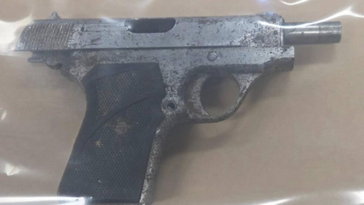 Auto pistol and €40,000 worth of drugs seized after garda car rammed in Wexford