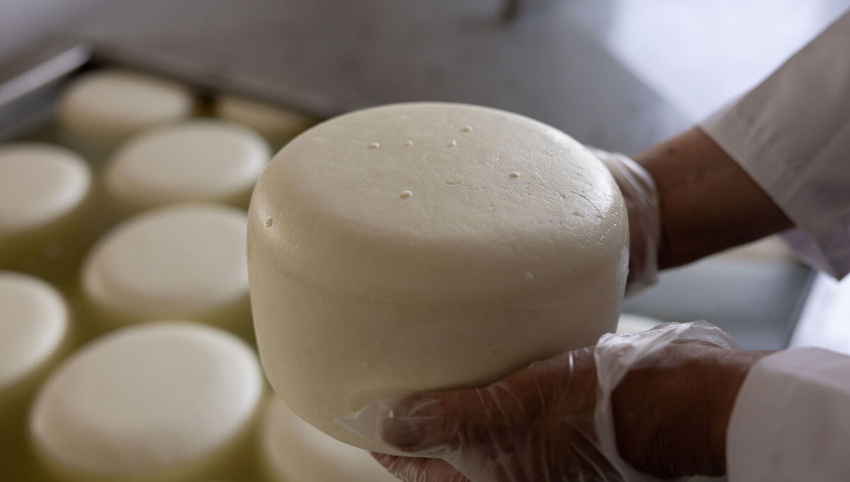 Sean Fitzgerald, Cratloe Hills Cheese with some sheep cheese in the brine in Co Clare. Picture: Eamon Ward Sean Fitzgerald, Cratloe Hills Cheese with some sheep cheese in the brine in Co Clare. Picture: Eamon Ward