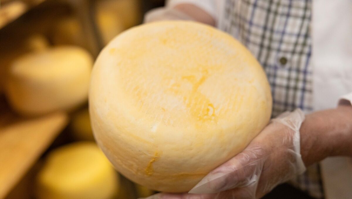 A wheel of Sean Fitzgerald's Cratloe Hills Cheese. Picture: Eamon Ward A wheel of Sean Fitzgerald's Cratloe Hills Cheese. Picture: Eamon Ward