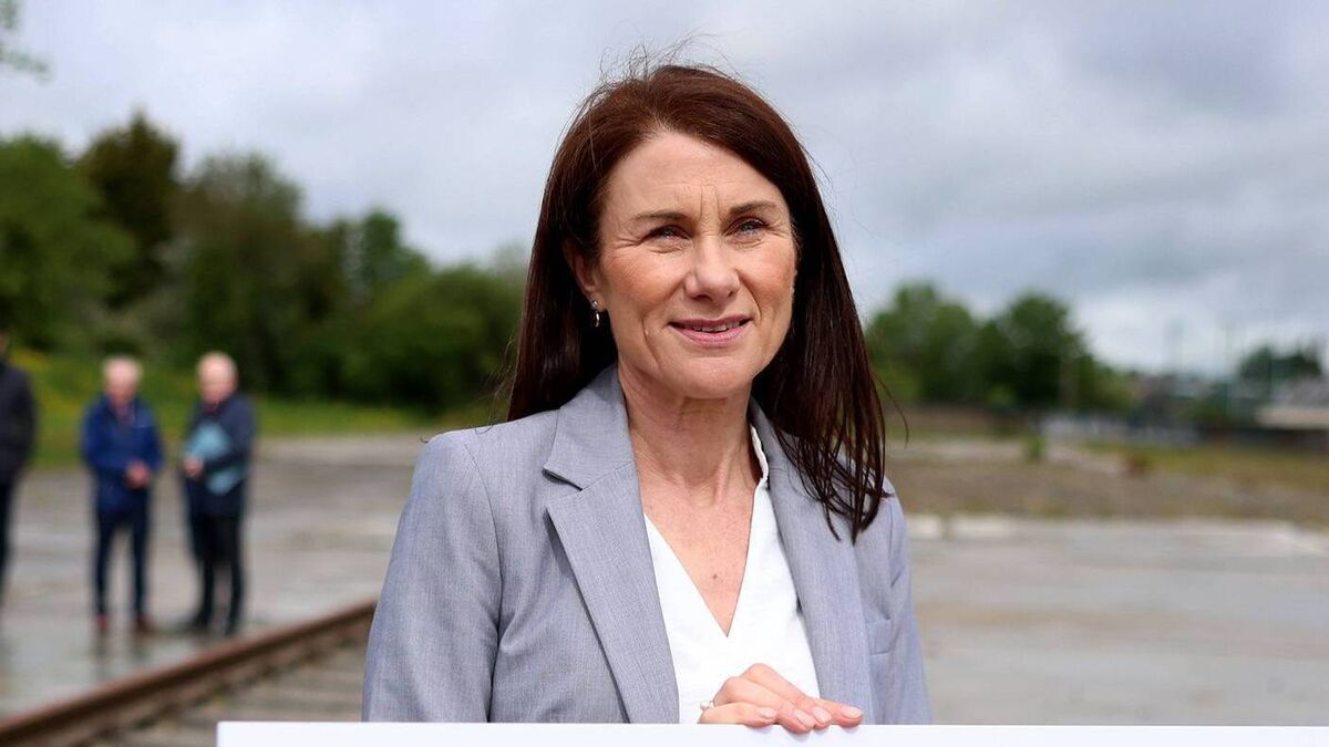 Irish Rail looking at other options after writing off failed €50m IT project, committee told