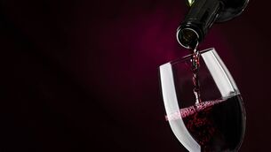<p>All of these wines are best served chilled</p>
