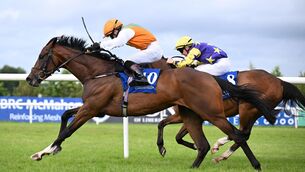 <p>MAKE MINE A DOUBLE: Monvoe and Reece Holohan win for trainer Ray Cody. Pic: Healy Racing.</p>