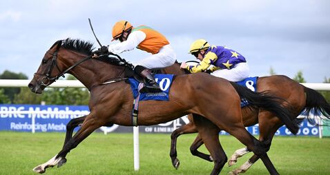 Monvoe completes Cody double at Limerick
