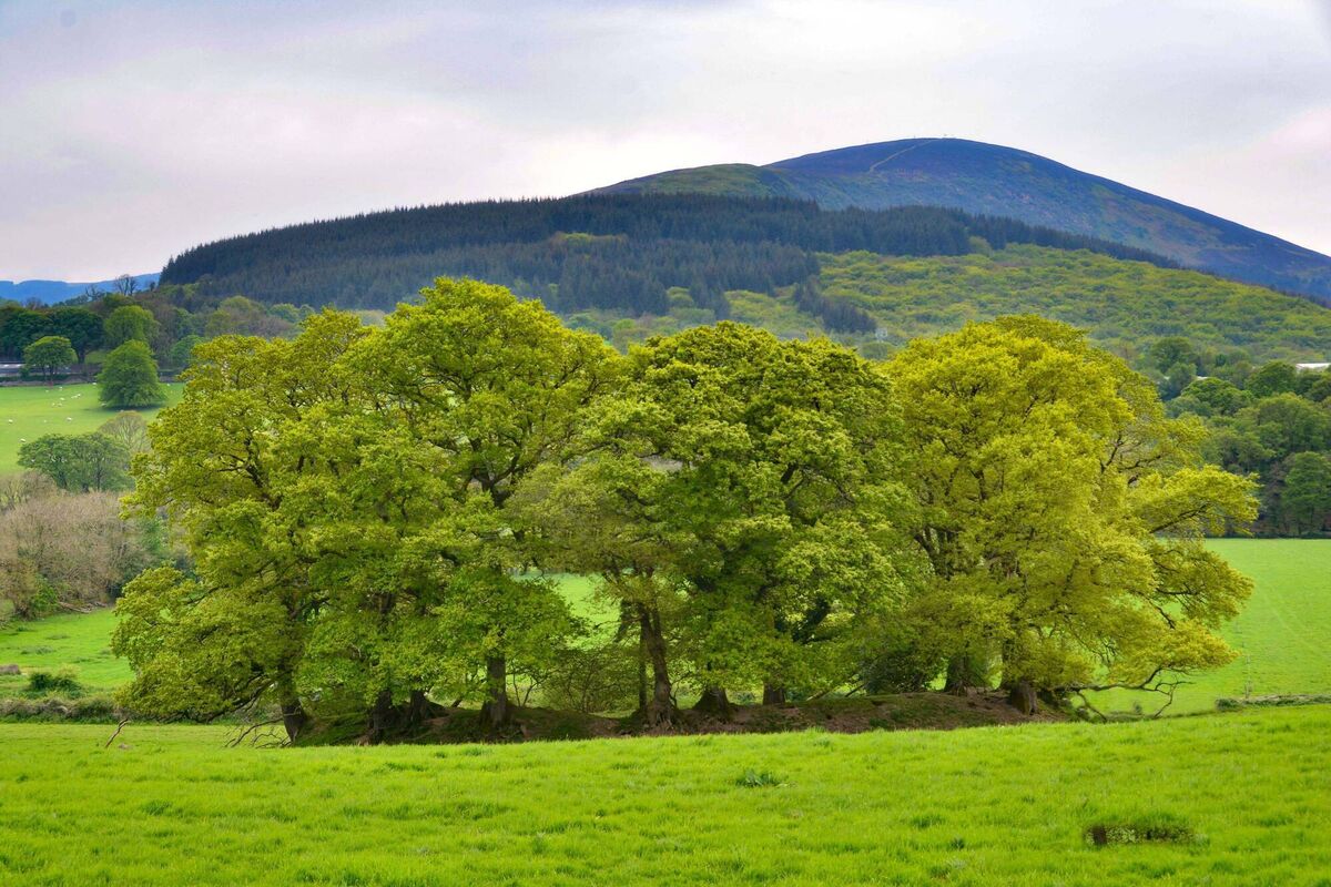 Ringfort at Millstreet, Co Cork. When visiting a fairy fort, Jo Kerrigan advises that you open your mind and prepare for an otherworldly experience. Photo: Richard Mills 