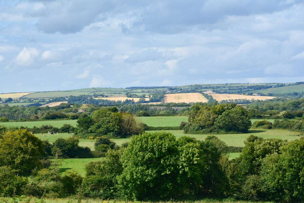 Ringforts near Midleton, Co Cork. These structures date back into ancient times, long before even the Celts came to Ireland, let alone a new religion from Rome. Photo: Richard Mills 