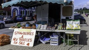<p>Driving along roads in Ireland, you’ll be surprised by what you’ll find for sale on the side of the road. </p> <p>Driving along roads in Ireland, you’ll be surprised by what you’ll find for sale on the side of the road. </p>