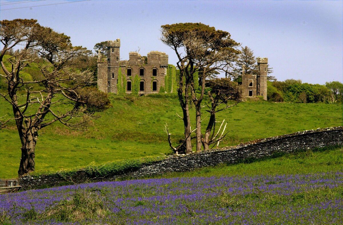 Ivy league: CastleFreke back in 2003. Picture Denis Scannell