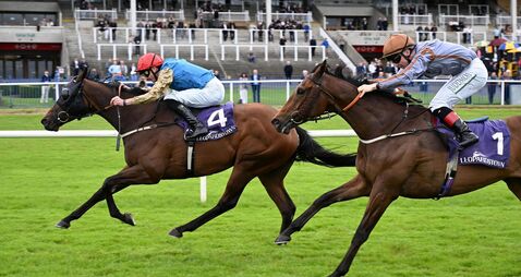 Burke's Native Warrior justifies odds to take Ballycorus Stakes at 'lucky' Leopardstown