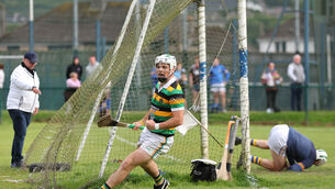 <p> Rhys Dunne of Glen Rovers celebrates scoring his early first half goal. Picture: Jim Coughlan.</p>