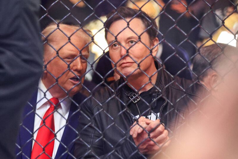 US President Donald Trump and Tesla and SpaceX CEO Elon Musk watch a fight during UFC 309 at Madison Square Garden in New York, on November 16, 2024. (Photo by Kena Betancur / AFP) (Photo by KENA BETANCUR/AFP via Getty Images) US President Donald Trump and Tesla and SpaceX CEO Elon Musk watch a fight during UFC 309 at Madison Square Garden in New York, on November 16, 2024. (Photo by Kena Betancur / AFP) (Photo by KENA BETANCUR/AFP via Getty Images)
